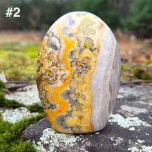 Load image into Gallery viewer, Bumblebee jasper Stand up pieces
