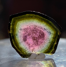 Load image into Gallery viewer, Watermelon Tourmaline (small slices)
