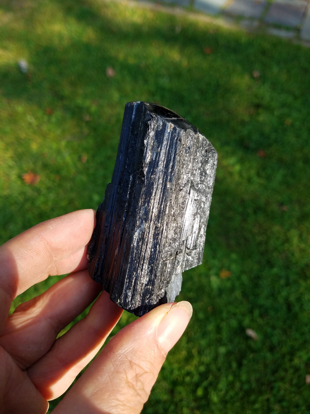 Black Tourmaline with Polished Top