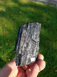 Black Tourmaline with Polished Top