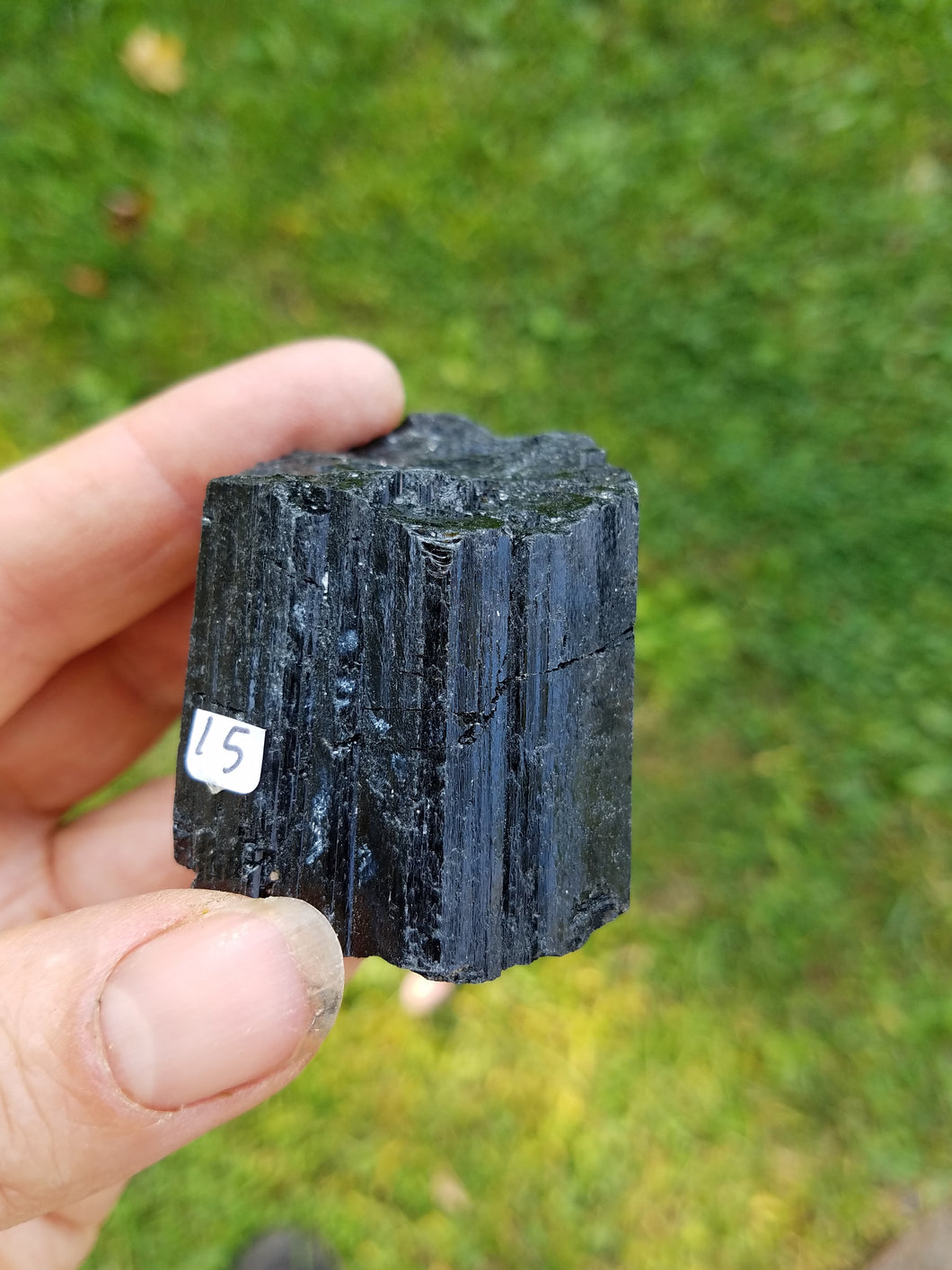 Black Tourmaline