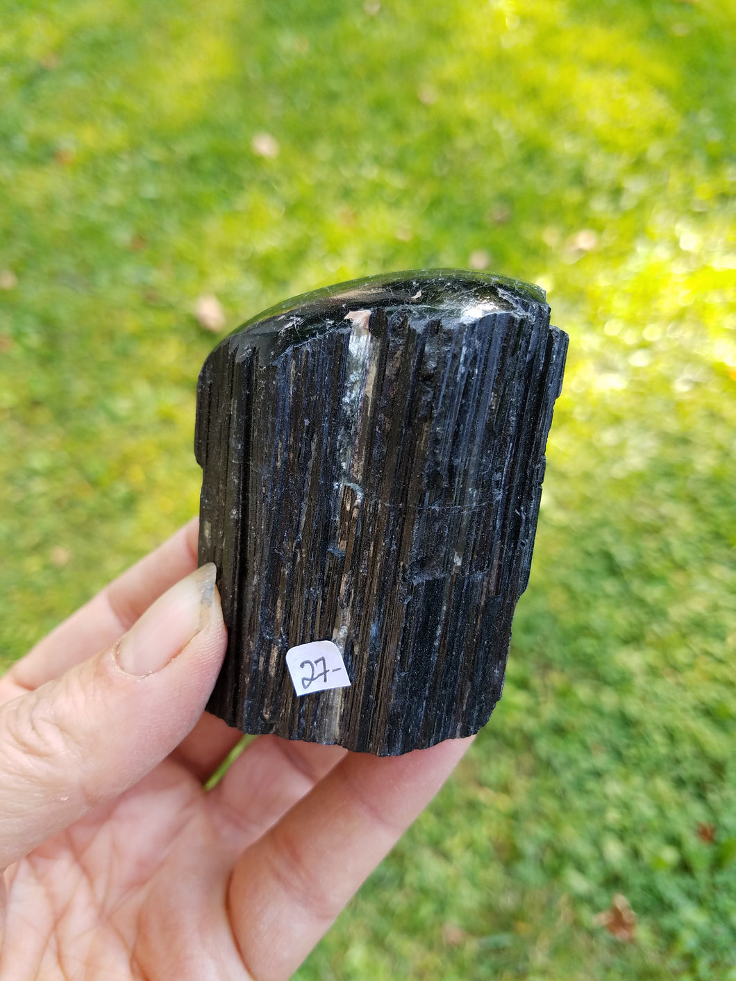 Black Tourmaline with Polished Top