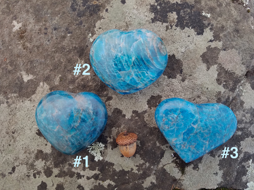 Blue Apatite Hearts
