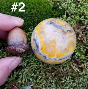 Bumblebee Jasper Spheres