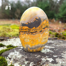 Load image into Gallery viewer, Bumblebee jasper Stand up pieces
