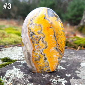 Bumblebee jasper Stand up pieces