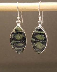 Kambaba Jasper Marquise Earring