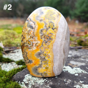 Bumblebee jasper Stand up pieces