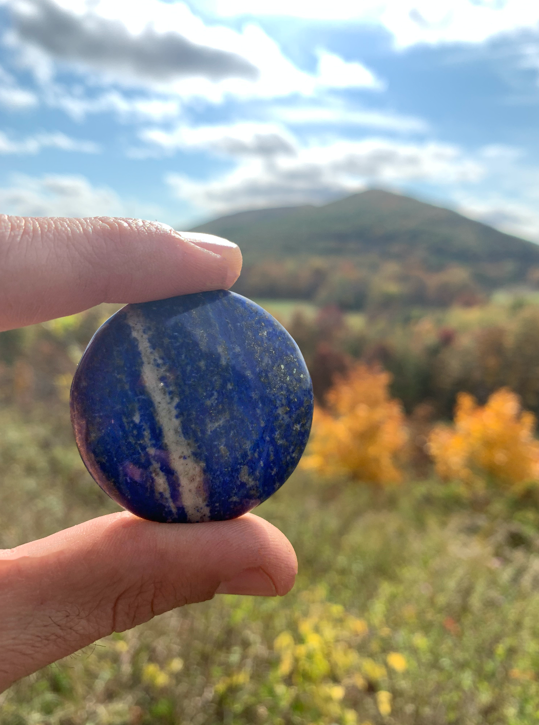 Lapis Palm Stone